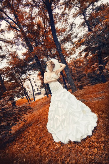 Свадьбы: Wedding_all