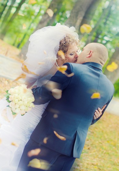 Свадьбы: Wedding_all