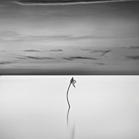 Igor's Portfolio